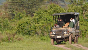 Afric'Aventure