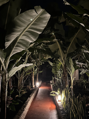 Arusha Explorers Lodge