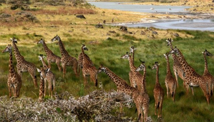 Arusha National Park