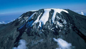 Asante Tanzania Safaris