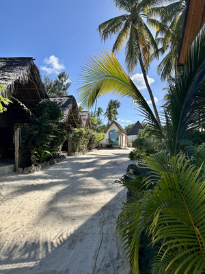 Beach Bohème