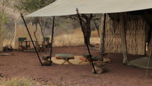 Bush2Beach Safaris