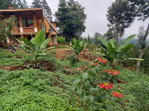 Chameleon Eco Farm stay & Cultural Tourism