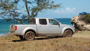 DT Dobie Tanzania