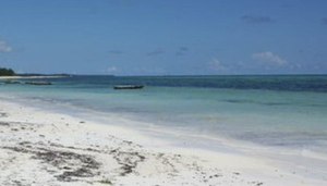 Emslies Travel
