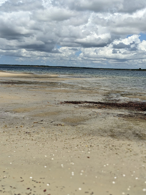 Festival Beach Resort