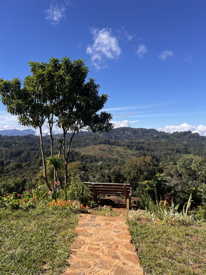 Hondo Hondo view point