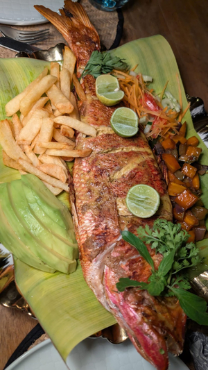 Infinity beach boutique restaurant