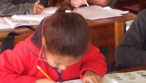 Iringa International School