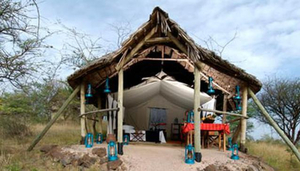 Kambi Ya Tembo