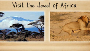 Kearsleys Travel and Tours