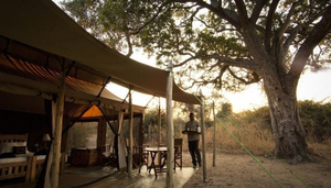Kigelia Camp