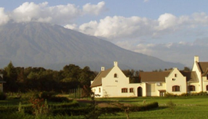Kimemo Cafe