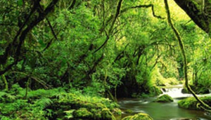 Kisangara Cultural Tourism Programme