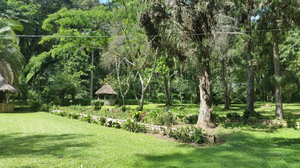 Kwa Millinga's Gardens
