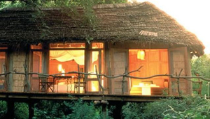 Lake Manyara Tree Lodge