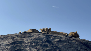 EBBY ADVENTURES AND SAFARIS