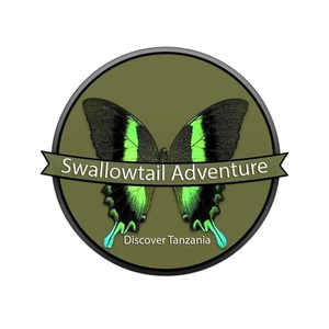 Swallowtail Adventure