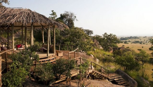 Lemai Serengeti
