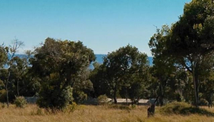 Lemala Mara Camp