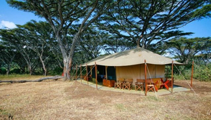 Lemala Ngorongoro Camp
