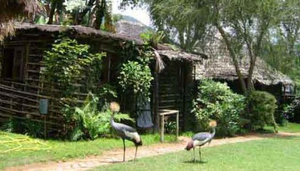 L'Oasis Lodge and Annexe