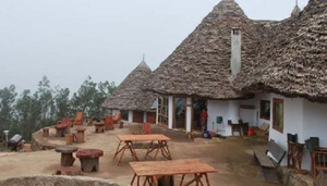 MamboViewPoint Lodge