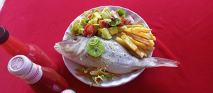 Maraha Restaurant