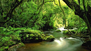 Matunda Cultural Tourism and Safaris Project