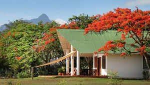 Mbuyuni Farm Retreat