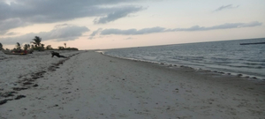 Mbweni Beach