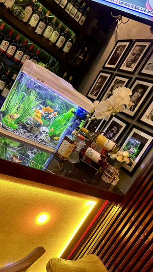 Midnight Lounge