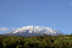 Mount Kilimanjaro National Park Day Trip