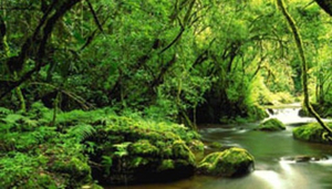 Mulala Cultural Tourism Programme