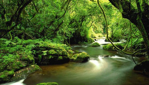 Ngiresi Cultural Tourism Programme