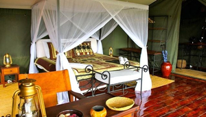 Ngorongoro Forest Tented Lodge
