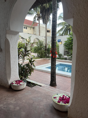 Nuru Spa & Wellness