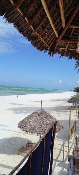 Palm Tree Resort Bwejuu