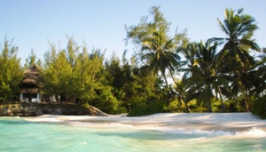 Pongwe Beach Hotel