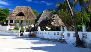 Red Monkey Lodge