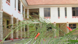 Royal Mushi's Inn