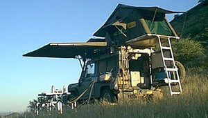 Safari In Tanzania
