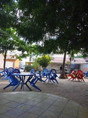 safari pub