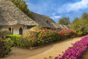 Sandies Baobab Beach