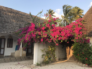 Sea View Lodge
