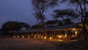 Obóz Safari Serengeti