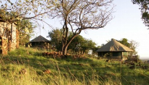 Serengeti Simba Lodge