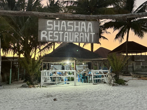 Shasha restaurant