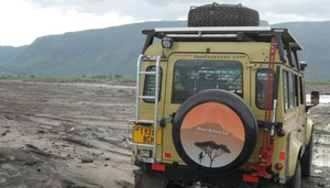 Shaw Safaris