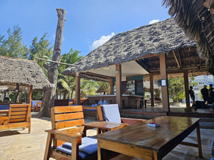 Summer Beach Bar